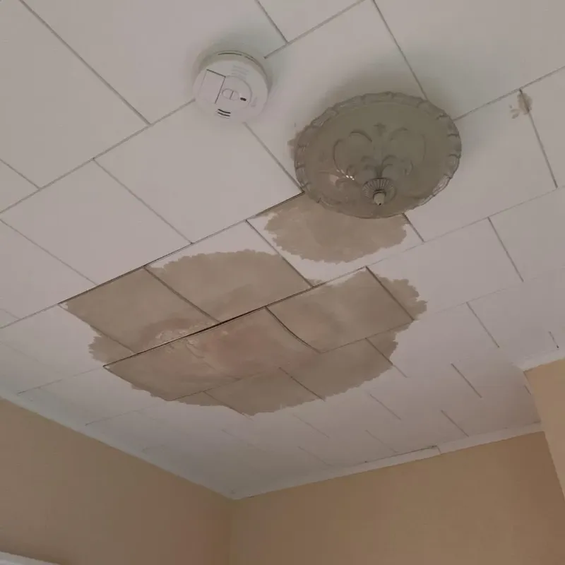 Ceiling Water Damage Repair in New York City, NY