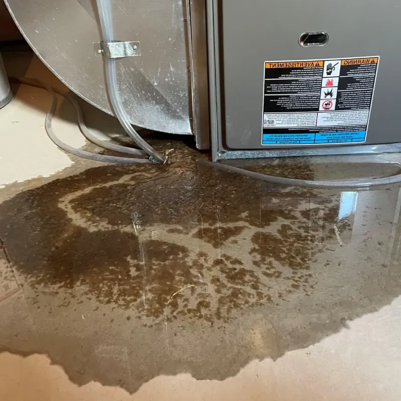 Pipe Burst and Leak Restoration in New York City, NY
